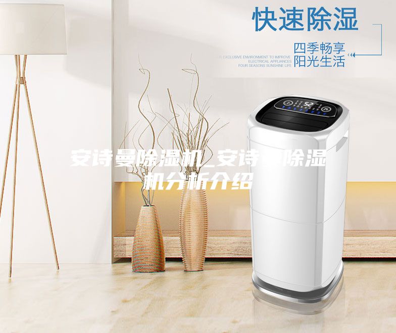 安诗曼除湿机_安诗曼除湿机分析介绍