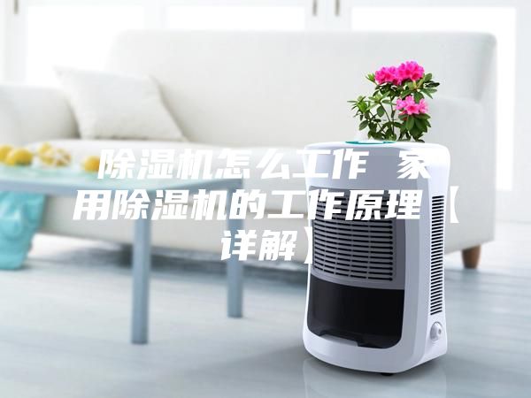 除湿机怎么工作 家用除湿机的工作原理【详解】