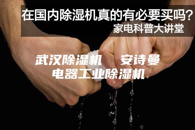 武汉除湿机  安诗曼电器工业除湿机