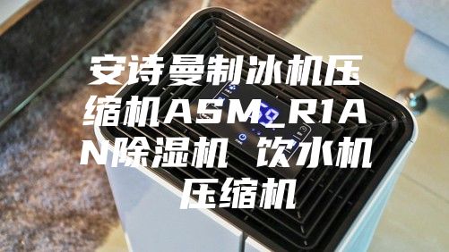 安诗曼制冰机压缩机ASM_R1AN除湿机 饮水机 压缩机