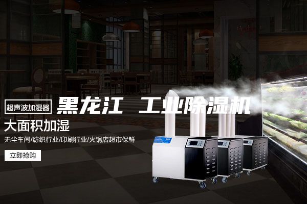 黑龙江 工业除湿机