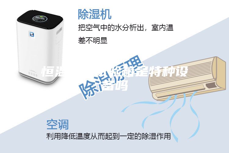 恒温恒湿试验箱是特种设备吗