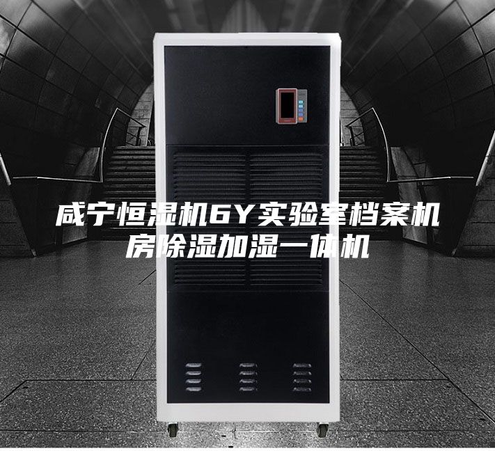 咸宁恒湿机6Y实验室档案机房除湿加湿一体机
