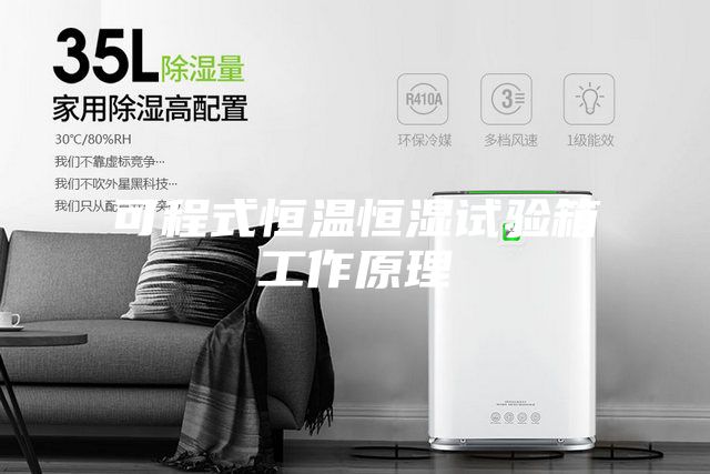 可程式恒温恒湿试验箱工作原理