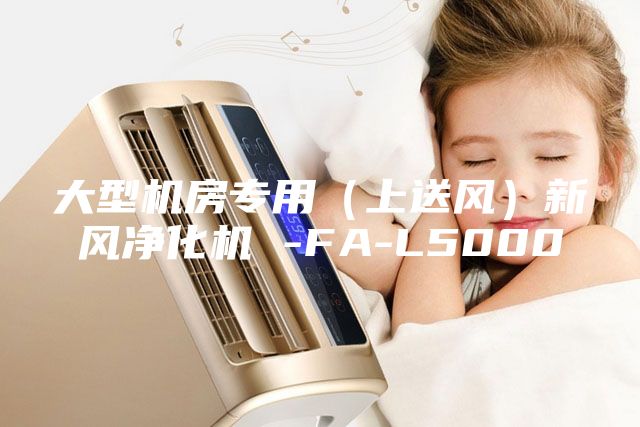 大型机房专用（上送风）新风净化机 -FA-L5000