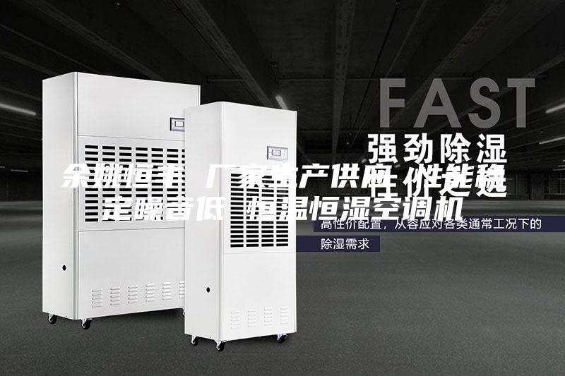 余姚恒丰 厂家生产供应 性能稳定噪音低 恒温恒湿空调机