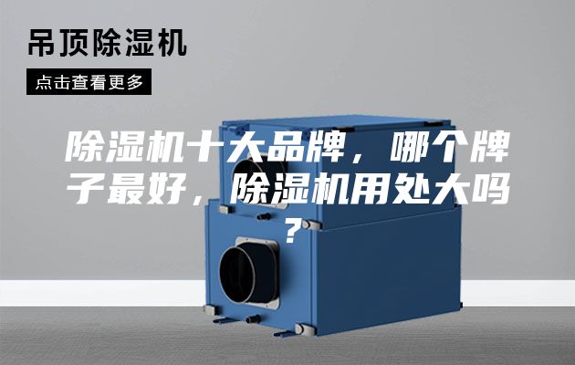 除湿机十大品牌，哪个牌子最好，除湿机用处大吗？