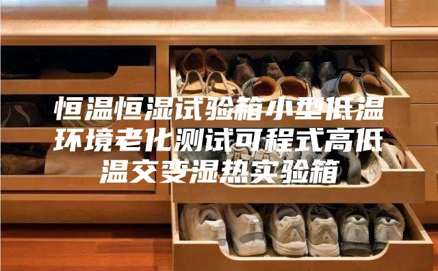恒温恒湿试验箱小型低温环境老化测试可程式高低温交变湿热实验箱