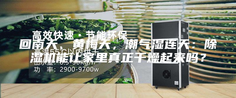 回南天、黄梅天，潮气湿连天：除湿机能让家里真正干燥起来吗？