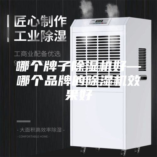哪个牌子除湿机好—哪个品牌的除湿机效果好