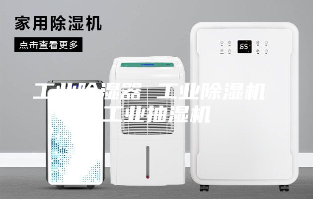 工业除湿器 工业除湿机 工业抽湿机
