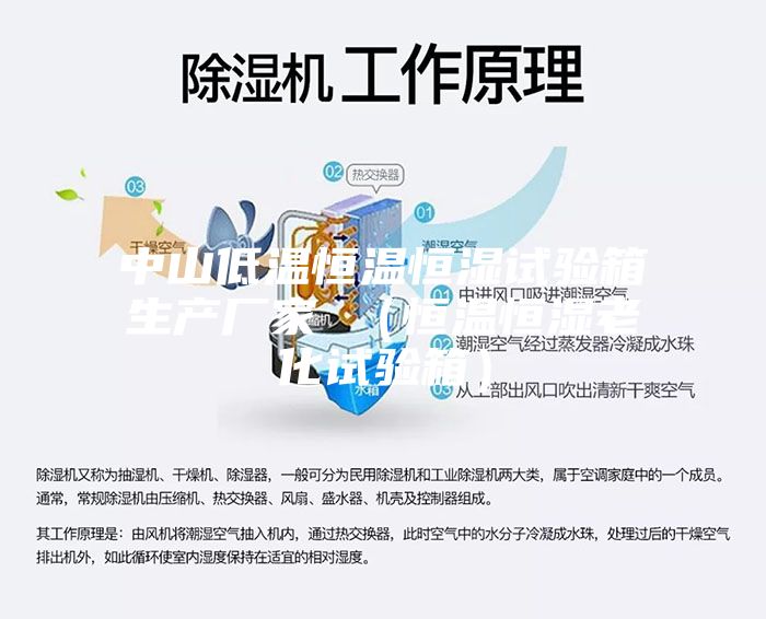 中山低温恒温恒湿试验箱生产厂家 （恒温恒湿老化试验箱）