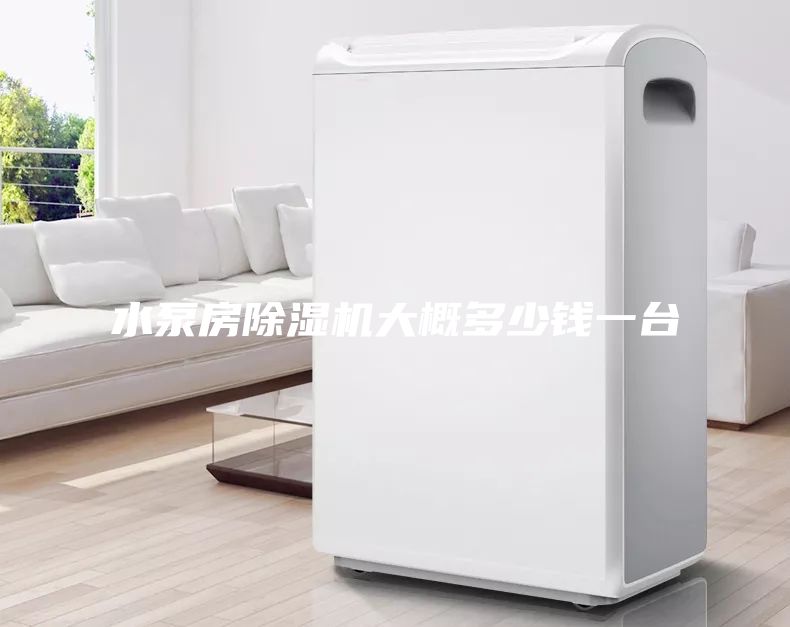 水泵房除湿机大概多少钱一台