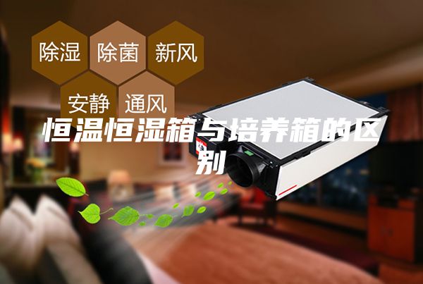 恒温恒湿箱与培养箱的区别