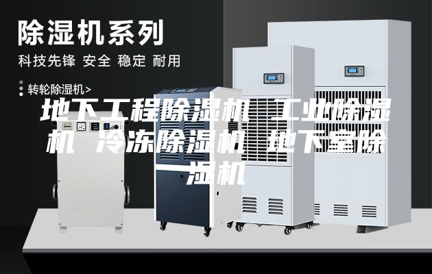 地下工程除湿机 工业除湿机 冷冻除湿机 地下室除湿机