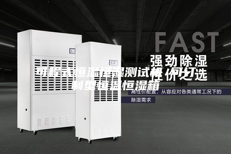 可程式恒温恒湿测试机 可订制型恒温恒湿箱