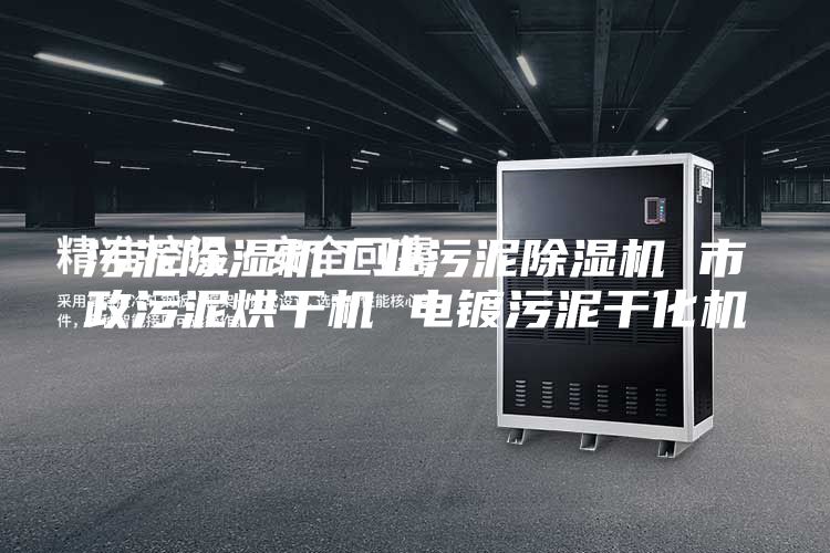 污泥除湿机工业污泥除湿机 市政污泥烘干机 电镀污泥干化机