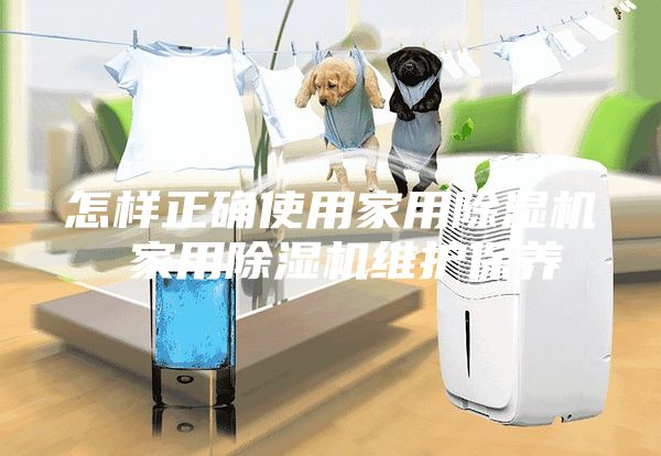 怎样正确使用家用除湿机 家用除湿机维护保养