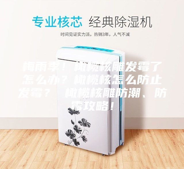 梅雨季！橄榄核雕发霉了怎么办？橄榄核怎么防止发霉？ 橄榄核雕防潮、防霉攻略！