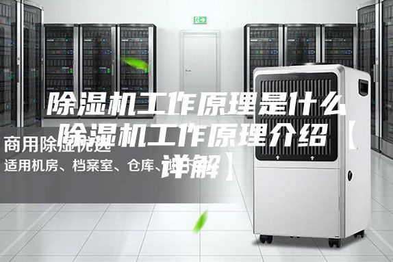除湿机工作原理是什么 除湿机工作原理介绍【详解】