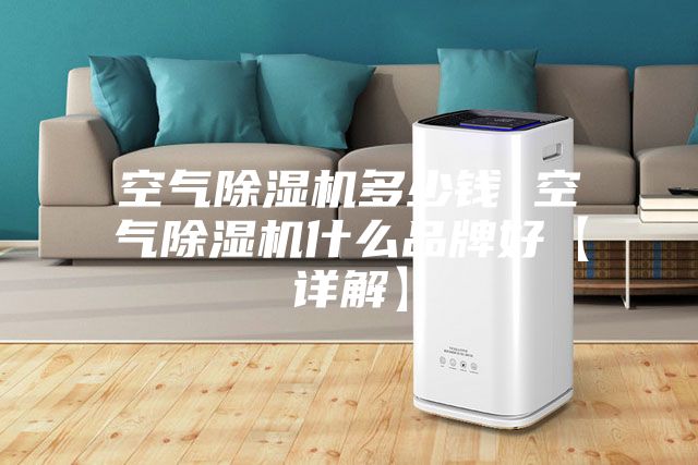 空气除湿机多少钱 空气除湿机什么品牌好【详解】