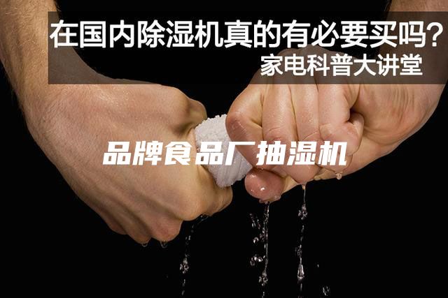 品牌食品厂抽湿机