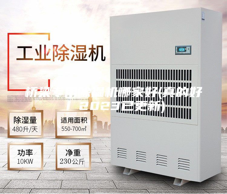 桥梁专用除湿机哪家好(真的好！2023已更新)