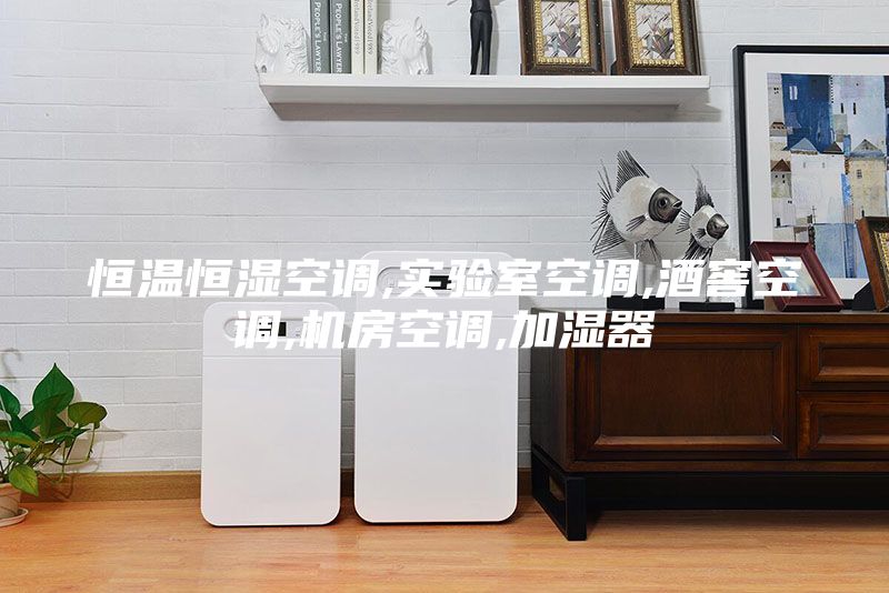 恒温恒湿空调,实验室空调,酒窖空调,机房空调,加湿器