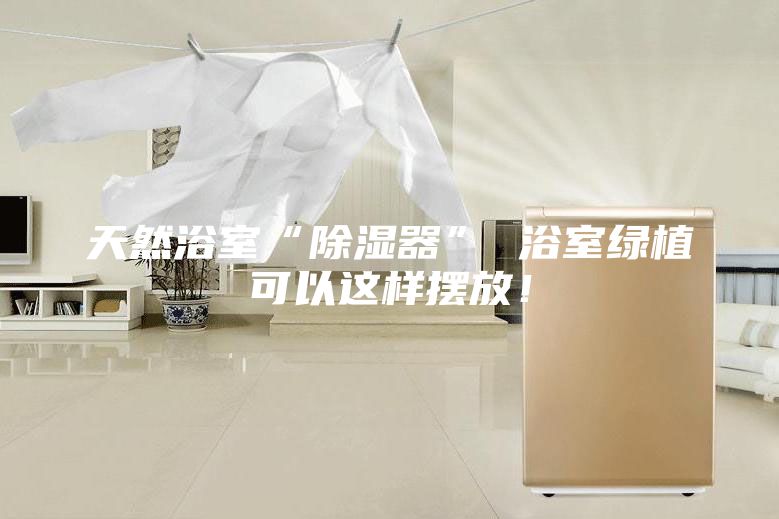 天然浴室“除湿器” 浴室绿植可以这样摆放！