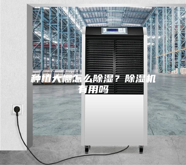 种植大棚怎么除湿？除湿机有用吗