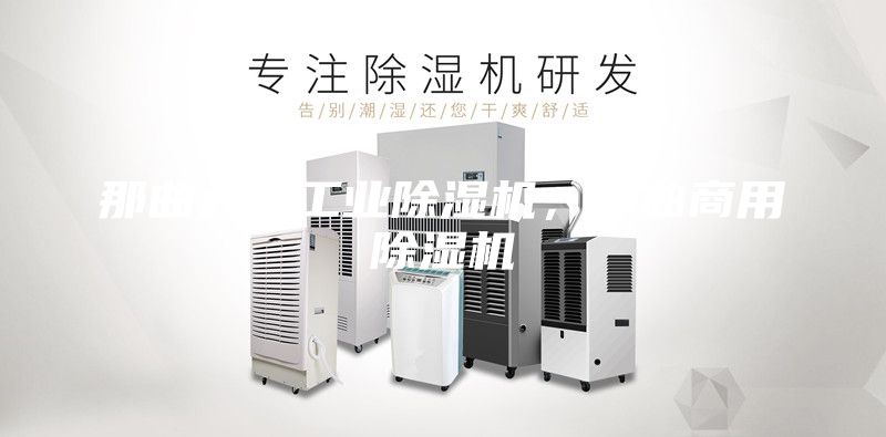 那曲大型工业除湿机，那曲商用除湿机