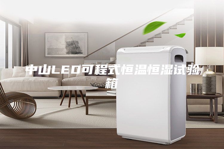 中山LED可程式恒温恒湿试验箱