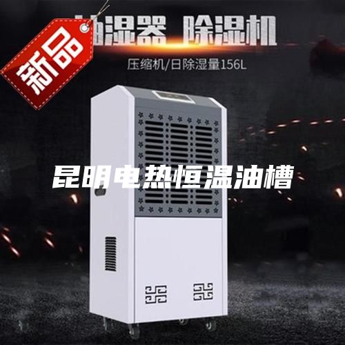 昆明电热恒温油槽
