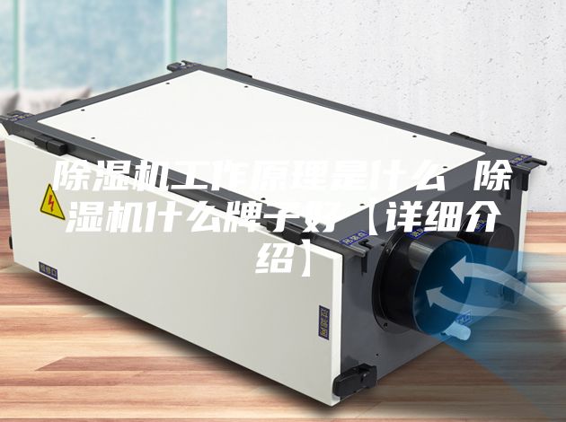 除湿机工作原理是什么 除湿机什么牌子好【详细介绍】
