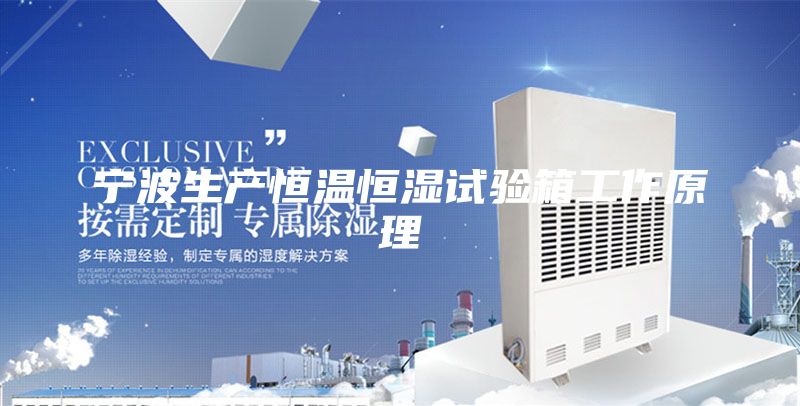 宁波生产恒温恒湿试验箱工作原理