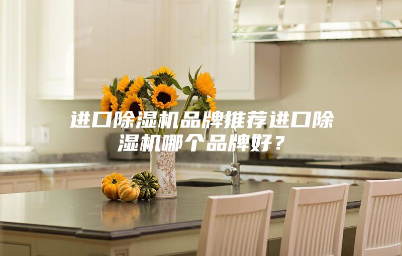进口除湿机品牌推荐进口除湿机哪个品牌好？