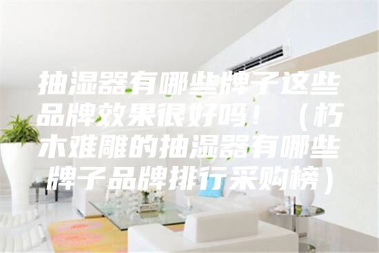 抽湿器有哪些牌子这些品牌效果很好吗！（朽木难雕的抽湿器有哪些牌子品牌排行采购榜）