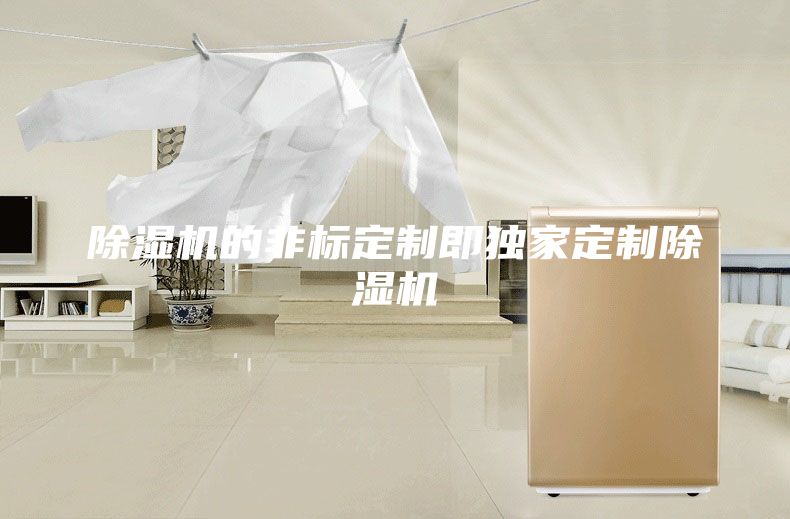 除湿机的非标定制即独家定制除湿机