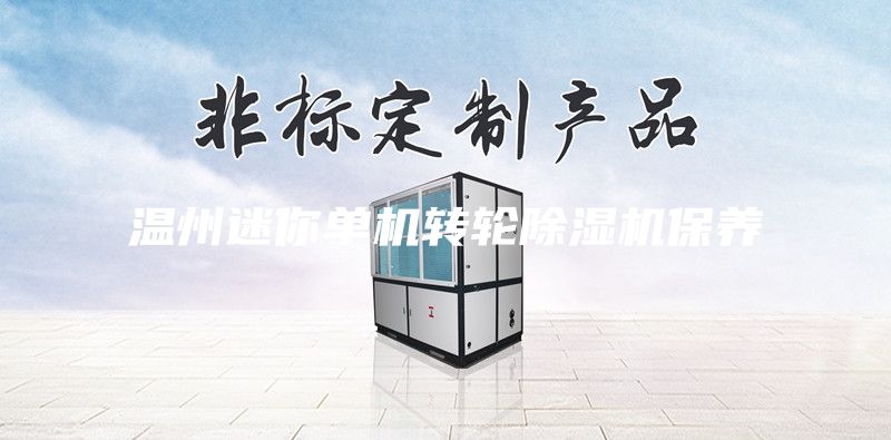 温州迷你单机转轮除湿机保养