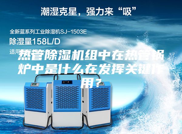 热管除湿机组中在热管锅炉中是什么在发挥关键作用？