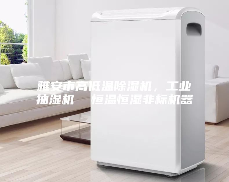 雅安市高低温除湿机，工业抽湿机  恒温恒湿非标机器