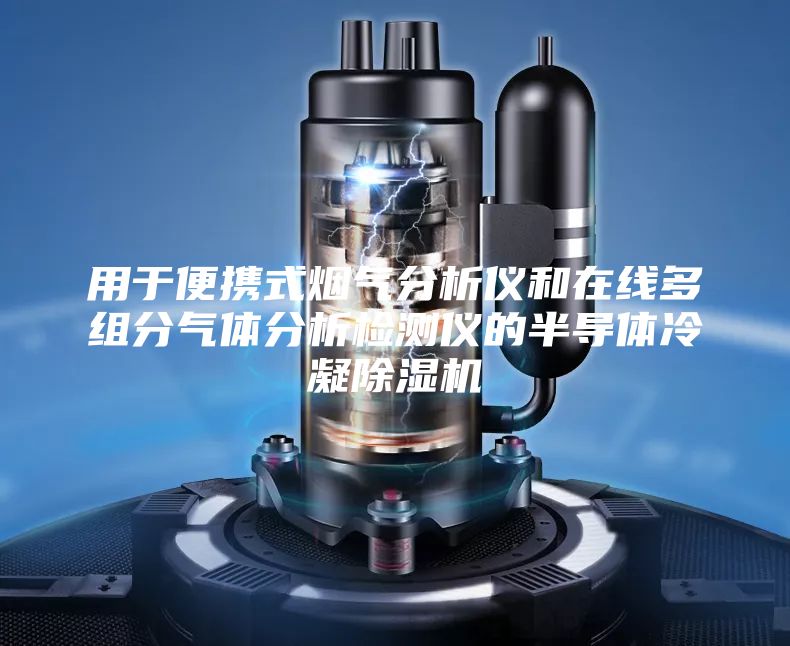 用于便携式烟气分析仪和在线多组分气体分析检测仪的半导体冷凝除湿机