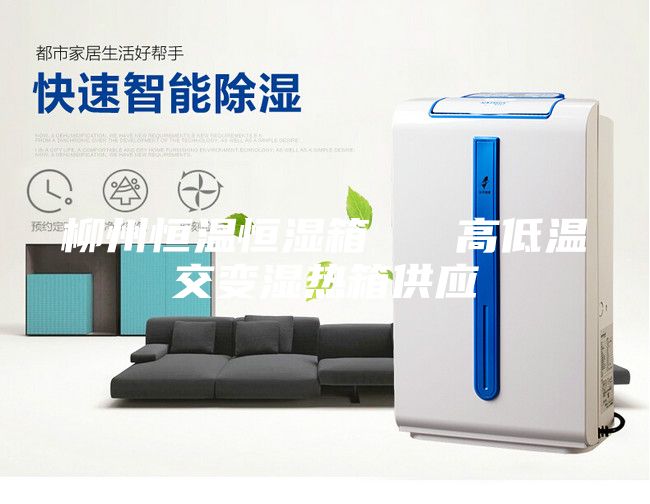 柳州恒温恒湿箱   高低温交变湿热箱供应