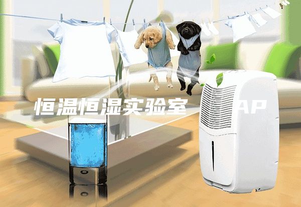 恒温恒湿实验室   AP