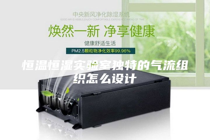 恒温恒湿实验室独特的气流组织怎么设计