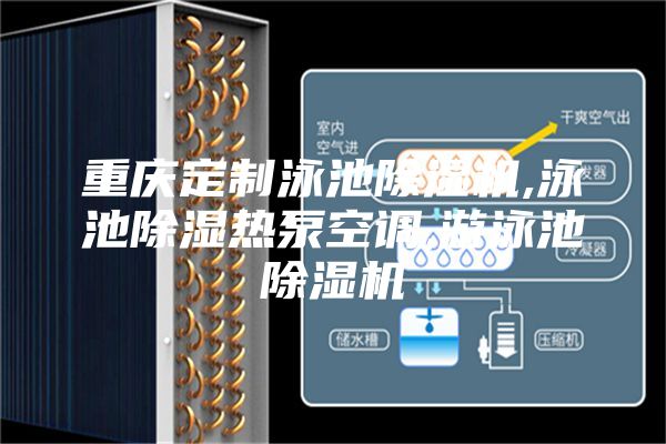 重庆定制泳池除湿机,泳池除湿热泵空调,游泳池除湿机