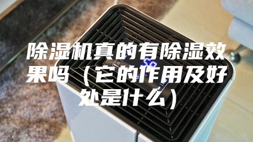除湿机真的有除湿效果吗（它的作用及好处是什么）