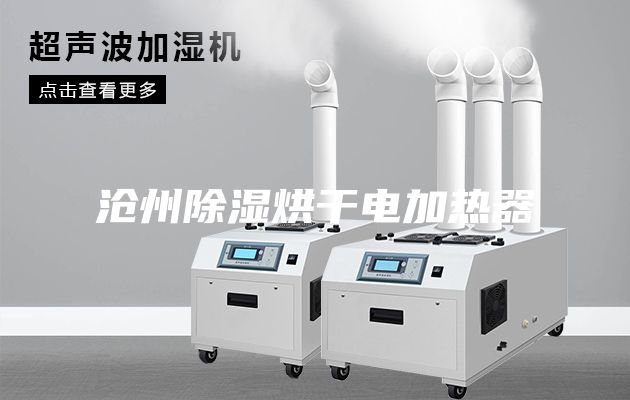 沧州除湿烘干电加热器