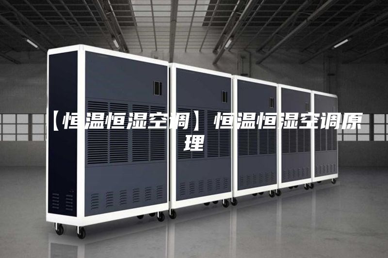【恒温恒湿空调】恒温恒湿空调原理