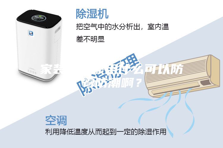 家装墙面漆用什么可以防霉防潮啊？